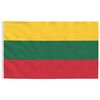 vidaXL Lithuania Flag and Pole 6.23 m Aluminium