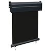 vidaXL Balcony Side Awning 65x250 cm Black