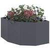 Product Thumbnail Image 3 of 12