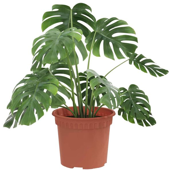 vidaXL Round Flower Pot 6 pcs Brick Red &Oslash; 12.5 x 10 cm Plastic