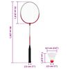 vidaXL Badminton Set with 4 Rackets and Net 620x151 cm