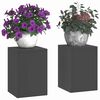 vidaXL Plant Stand 2 pcs Black 24 x 24 x 35 cm Steel