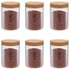 vidaXL Storage Glass Jars with Cork Lid 6 pcs 650 ml
