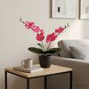 Product Thumbnail Image 2 of 5