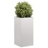 Product Thumbnail Image 2 of 9