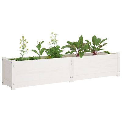 vidaXL Garden Raised Bed White 150x31x31 cm Solid Pinewood