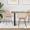 vidaXL Dining Chair 2 pcs Natural 57 x 54.5 x 85 cm Rattan and Iron