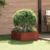 Product Thumbnail Image 2 of 11