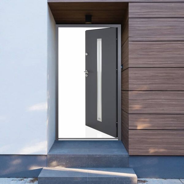 vidaXL Front Door Anthracite 110x207.5 cm Aluminium