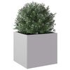 Product Thumbnail Image 4 of 12