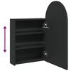 vidaXL Bathroom Mirror Cabinet with LED Light Arched Black 42x13x70 cm