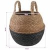 Product Thumbnail Image 6 of 6