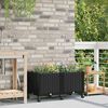 Product Thumbnail Image 2 of 8
