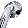 RIDDER Safety Grab Bar 30 cm Stainless Steel Chrome A0013011