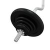 vidaXL Barbell with Plates 90 kg Cast Iron & Chrome Plated Steel