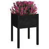 Product Thumbnail Image 3 of 7