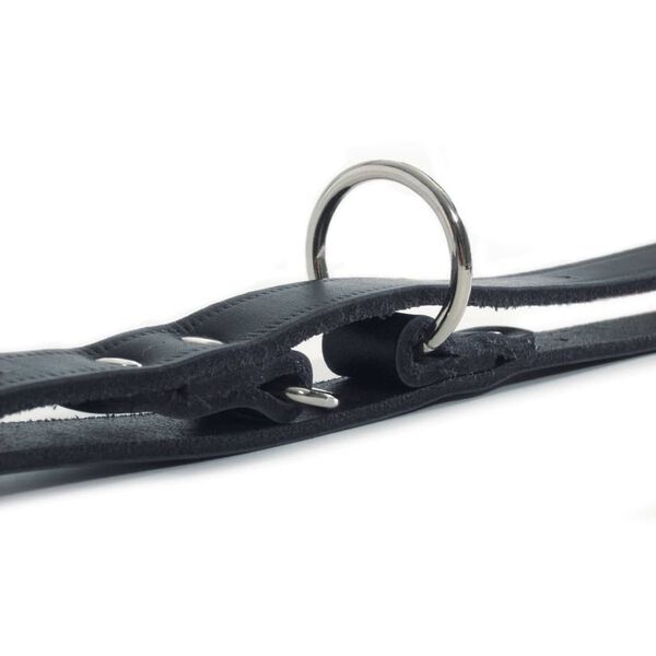 Beeztees Training Leash Leather Black 200x1.2 cm 736391