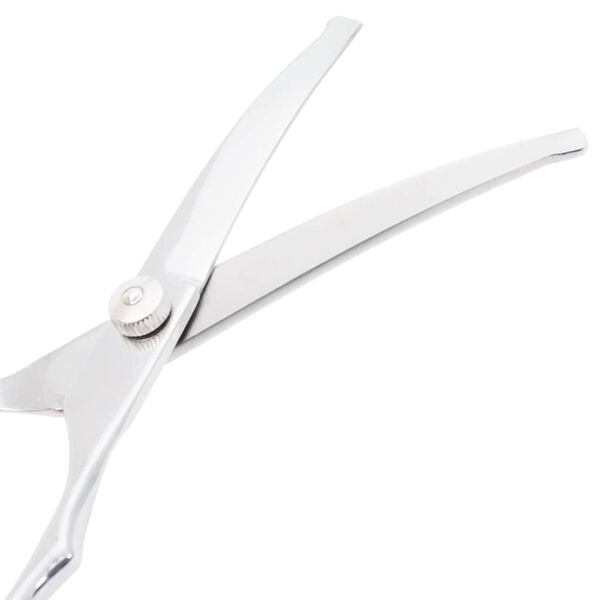 vidaXL 6 Piece Dog Grooming Scissors Set Stainless Steel