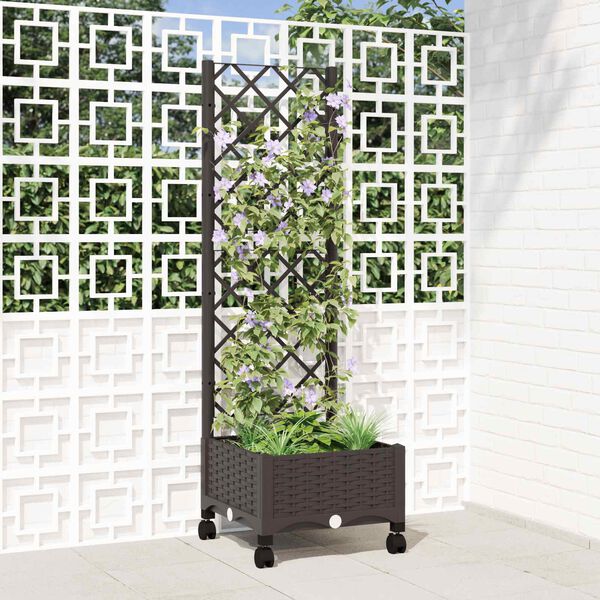 Showing Product Image 2 of 8