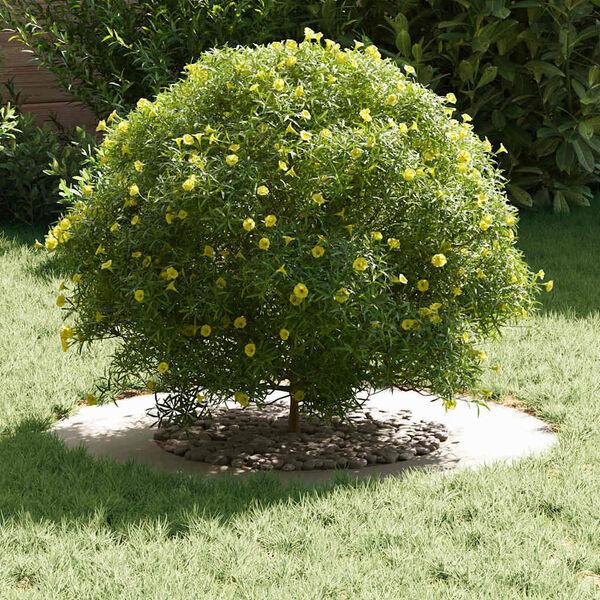 Showing Product Image 3 of 9