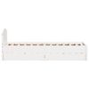 Product Thumbnail Image 7 of 11