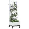 Product Thumbnail Image 3 of 8