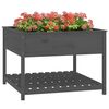 Product Thumbnail Image 4 of 8