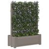 Product Thumbnail Image 2 of 6