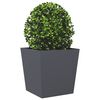 Product Thumbnail Image 3 of 10