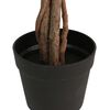 Product Thumbnail Image 3 of 5