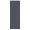 vidaXL Parcel Drop Box with Storage Anthracite 41 x 38 x 103 cm Steel