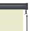 vidaXL Outdoor Roller Blind 80x250 cm Cream