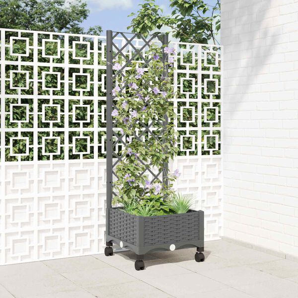 Showing Product Image 2 of 8
