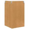 vidaXL Hanging Cabinet with Door Old Wood and White 57 x 57 x 100 cm