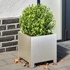 Product Thumbnail Image 2 of 10