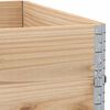 vidaXL Pallet Collars 2 pcs 100x100 cm Solid Wood Pine