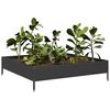 Product Thumbnail Image 3 of 10