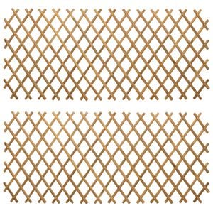 vidaXL Expandable Trellis Fence 2 pcs 100 x 105 cm Bamboo Light Brown