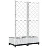 Product Thumbnail Image 4 of 8