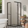 vidaXL Shower Cabin ESG 80x80x180 cm