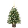 Product Thumbnail Image 3 of 14