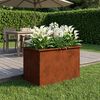 Product Thumbnail Image 3 of 17