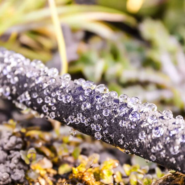 GR&Uuml;NTEK Drip Hose Kit 30 m Black