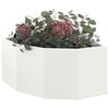 Product Thumbnail Image 3 of 12