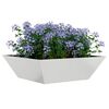 Product Thumbnail Image 3 of 13