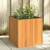 Product Thumbnail Image 2 of 9