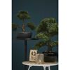 Emerald Artificial Ficus Mini Bonsai Green 47 cm 420006