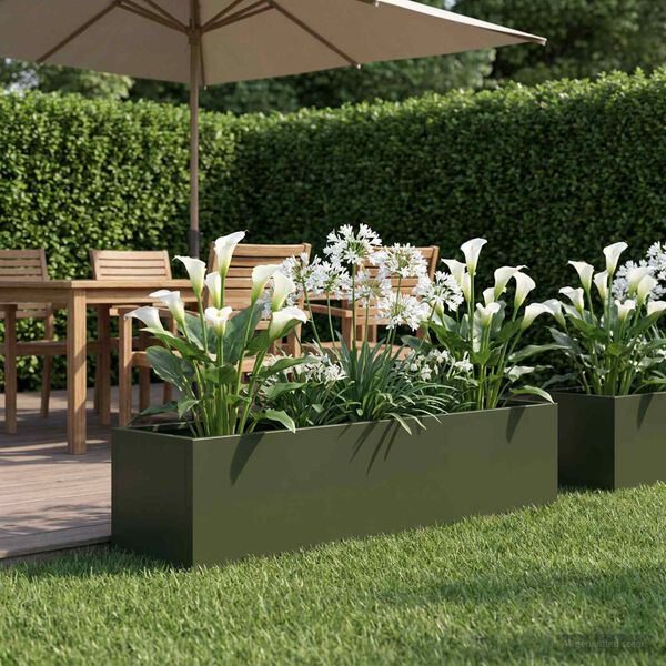 Showing Product Image 2 of 7