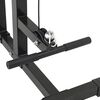 vidaXL Lat Pulldown Machine Manual Black 110 x 70 x 187 cm