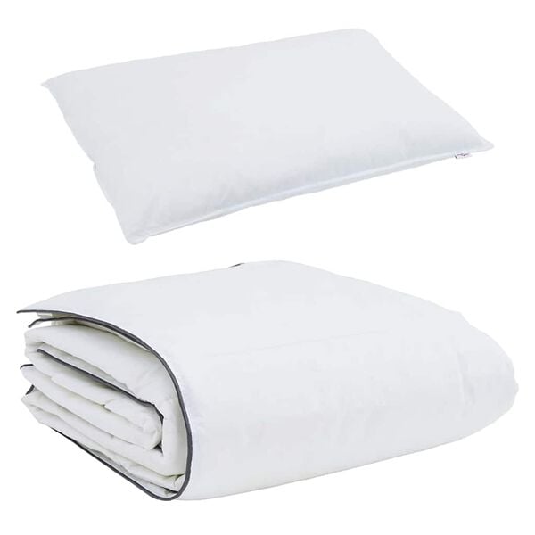 vidaXL Winter Duvet with Pillow 2 pcs White Down Feather